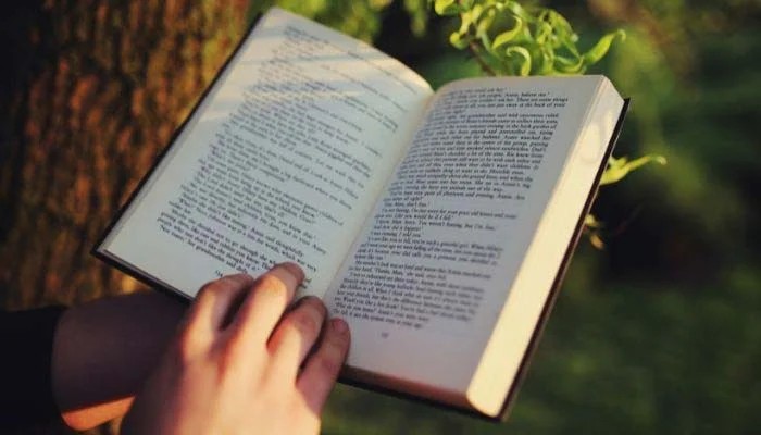 Destroying Books to Train AI
