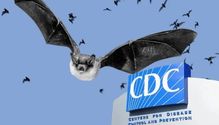 Rabies Cases Spike 174 Percent In July-August, CDC Warns