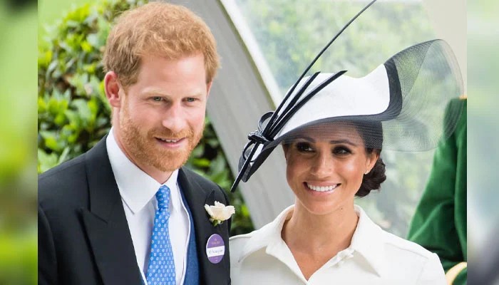 Prince Harry's Bold Move: Seeking Diana's Iconic Revenge Dress For Meghan