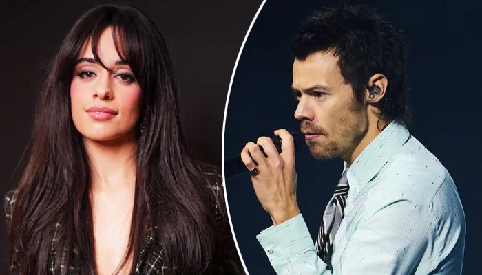From Teenage Crush to Madison Square Garden: Camila Cabello Catches Harry Styles Live