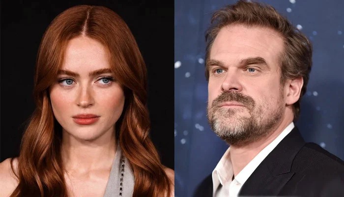David Harbour Has One Problem With Sadie Sink's Marvel Debut