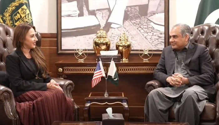 Naqvi, US Envoy Discuss Bilateral Cooperation and Regional Security