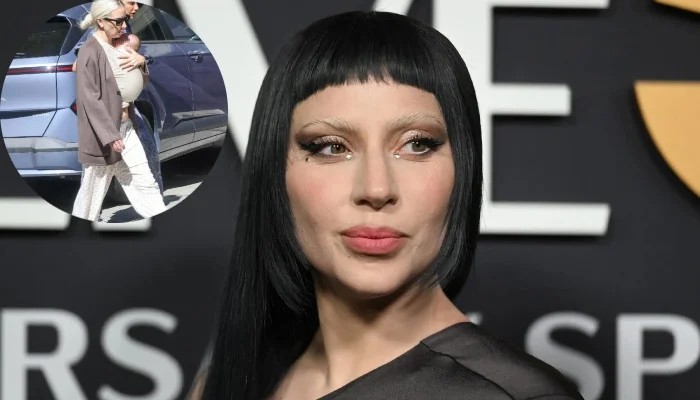 Lady Gaga's Secret Baby Plans Leave Pals Completely Blindsided