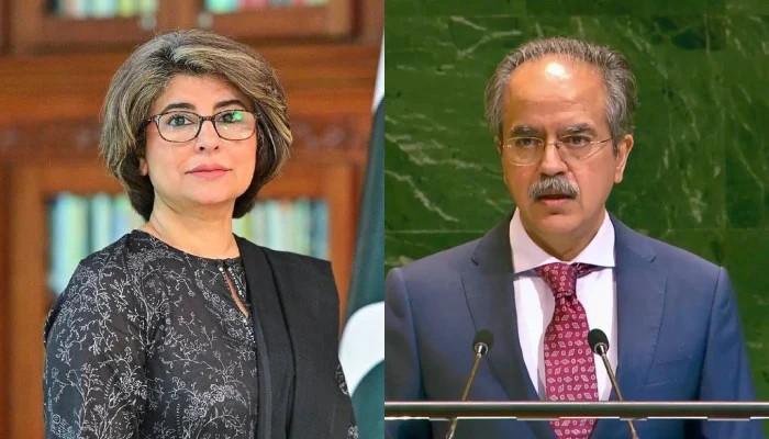 Asim Iftikhar to be country's next foreign secretary: DPM Dar