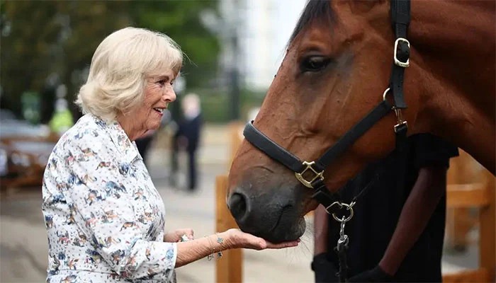 Queen Camilla Meets Royal Pony Now Helping Brixton's Children Learn To Ride