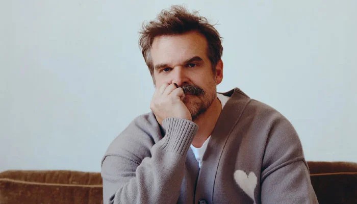 David Harbour Wins First Emmy Award After 27 Years